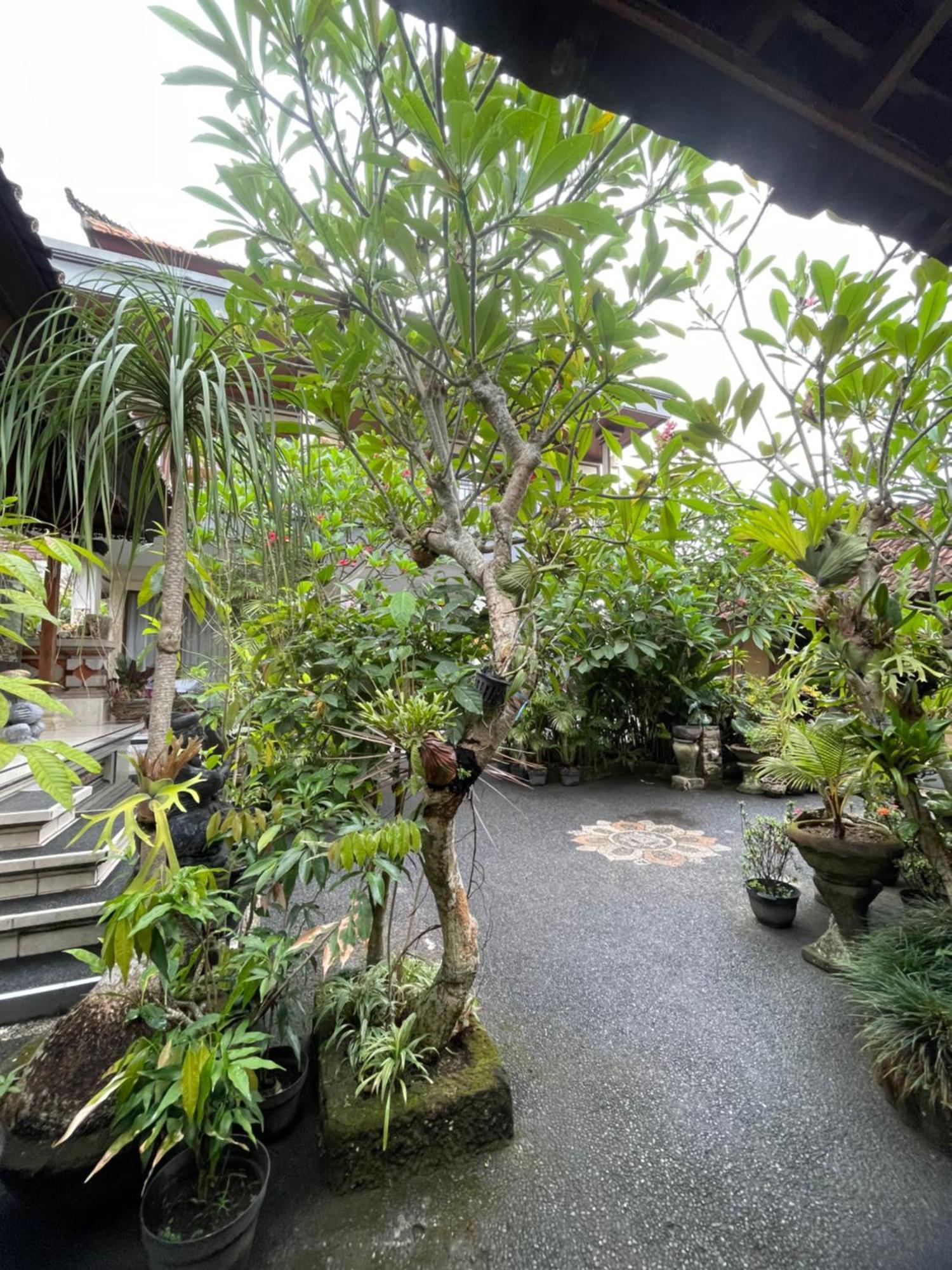 Suntari Homestay Ubud Dış mekan fotoğraf
