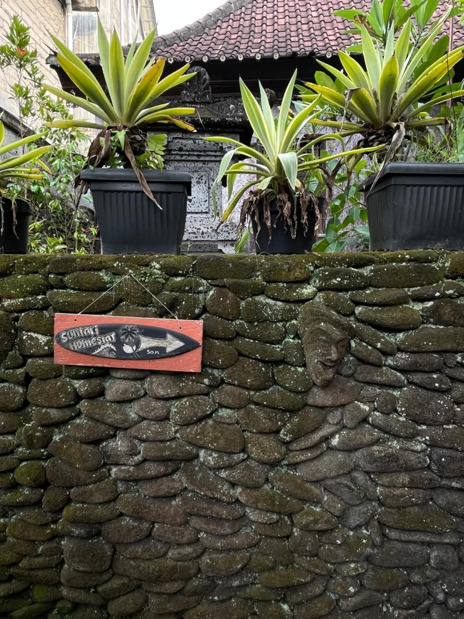 Suntari Homestay Ubud Dış mekan fotoğraf